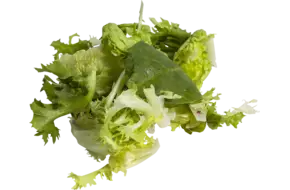 Little gem frisee mix zak 500gr
